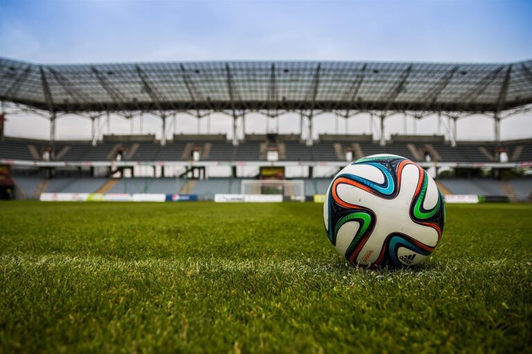 Foodball in the ground